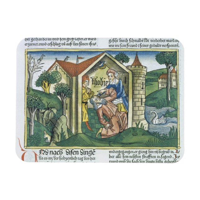 Ímã Apocrypha: Tobit está cego por dejetos de pardal (Horizontal)