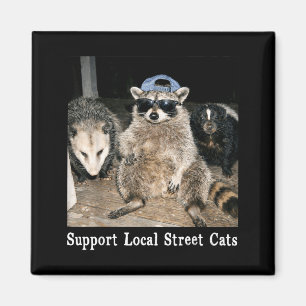 Imã Apoie gatos de rua engraçados guaxinim gambá