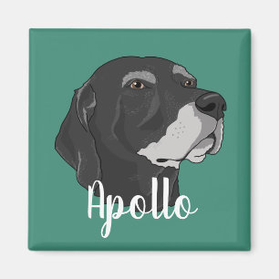 Imã Apollo