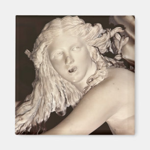 Imã Apollo e Daphne, detalhe da cabeça de Daphne