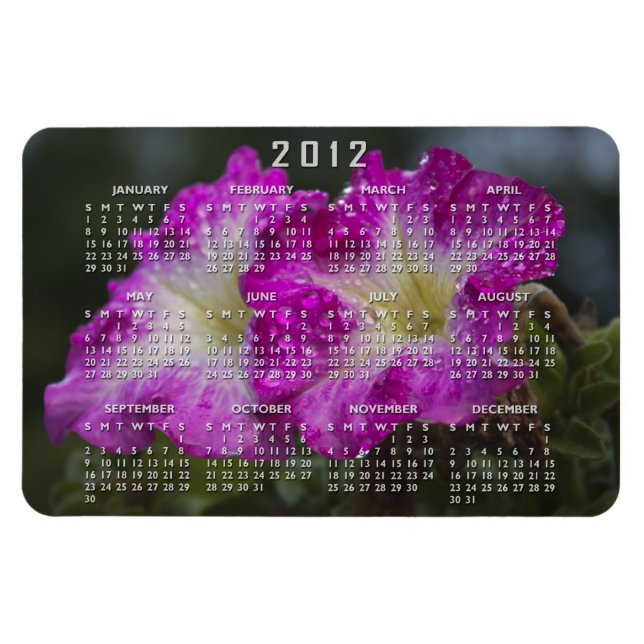 Ímã Após O Íman Premium Do Calendário De Chuva (Horizontal)