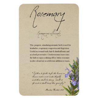 Ímã Apothecary Herbal: Rosemary | Magnet