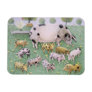 Ímã Apple deleita-se