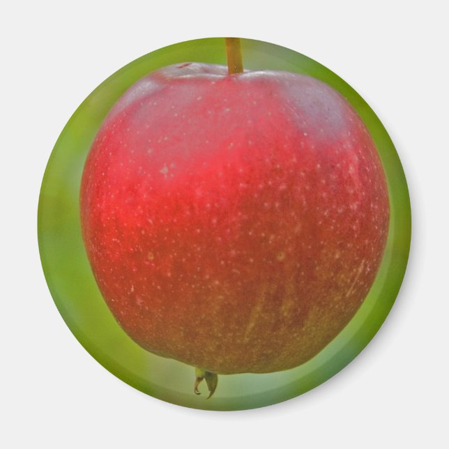 Imã Apple Summer Red (Frente)