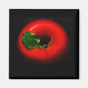 Imã . Apple vermelho