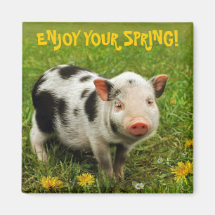 IMÃ APRECIE SEU PRIMAVERA!