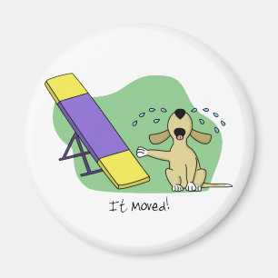 Imã Aprendendo a agilidade do Teeter