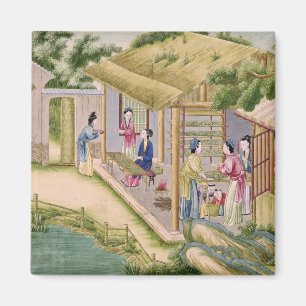 Imã Aprendendo sobre os bichos-da-seda