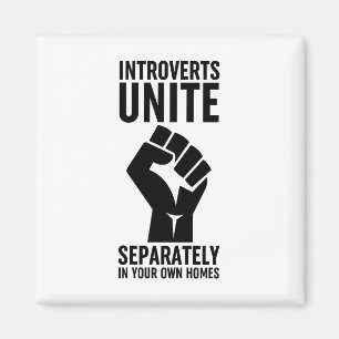 Imã Apresentamos Unir Separadamente Em Suas Próprias C