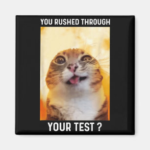 Imã Apressado Pelo Teste Dia De Teste Engraçado Gato P