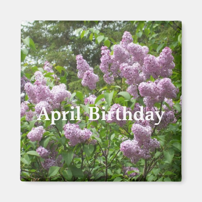 Imã April Birthday-Lovely Lilac Bush (Frente)