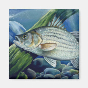 Imã APROVAÇÃO Bowles 2008 1036 alto