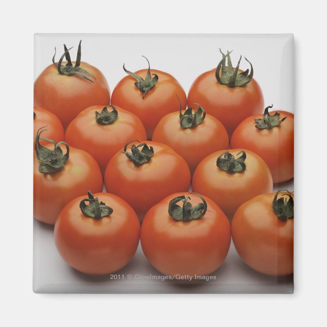Imã Aproximação dos tomates (Frente)