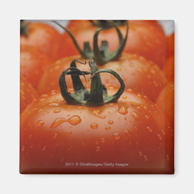 Imã Aproximação dos tomates 2 (Frente)