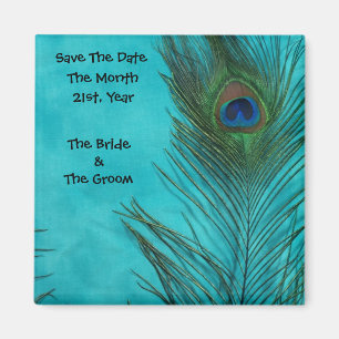 Imã Aqua Peacock Feather Magnets