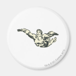 Imã Aquaman Soars BW