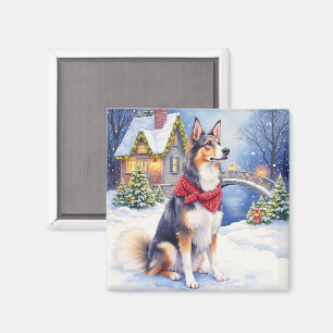Imã Aquarela Cão Pastor Belga Natal de Inverno