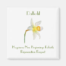 Aquarela de narciso com flores