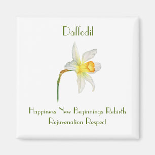 Imã Aquarela de narciso com flores