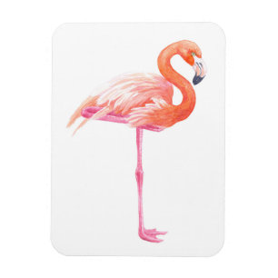 Ímã Aquarela Flamingo