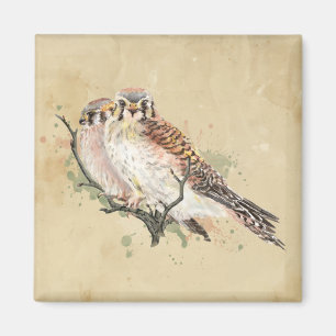 Imã Aquarela Kestrel Bird Birdwatch Art
