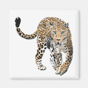Imã aquarela leopardo gato da selva animal pintado ver