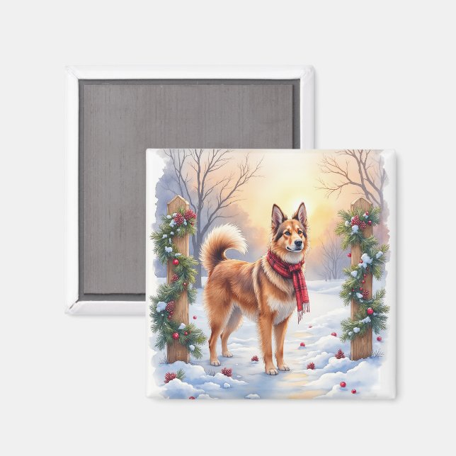 Imã Aquarela Tervuren Belga Grinalda Natal (Front/Back)