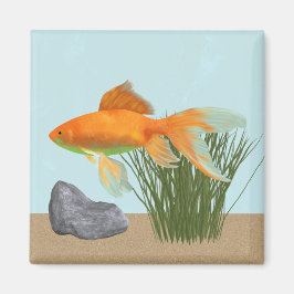 Imã Aquário da Natureza Peixe Dourado Laranja