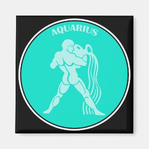 Imã Aquarius Magnet