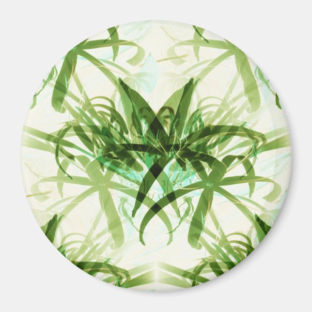 Imã Aquele Bambu... (Frente)