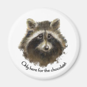 Imã Aqui para o Chocolate, Cute Raccoon, Animal