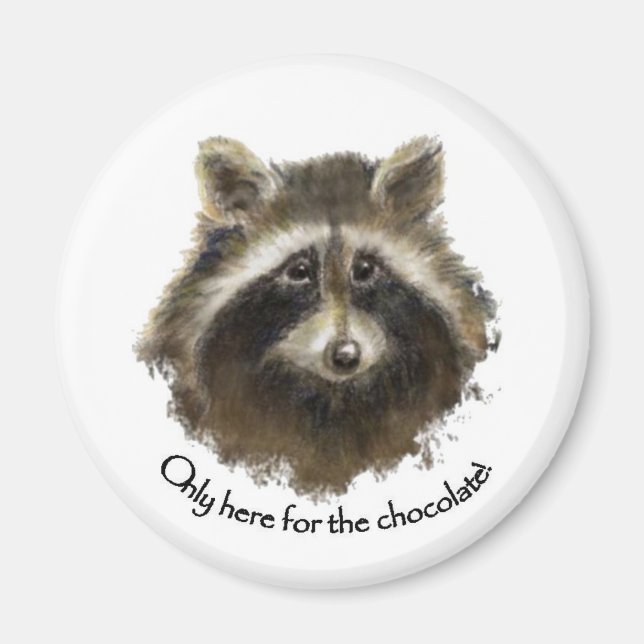 Imã Aqui para o Chocolate, Cute Raccoon, Animal (Frente)