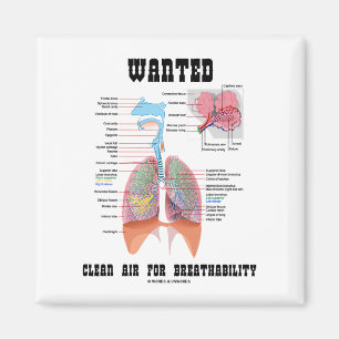 Imã Ar puro querido para Breathability (respiratório)