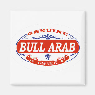 Imã Árabe de Bull