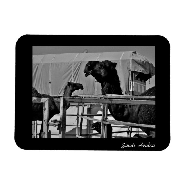 Ímã Arábia Saudita (Horizontal)