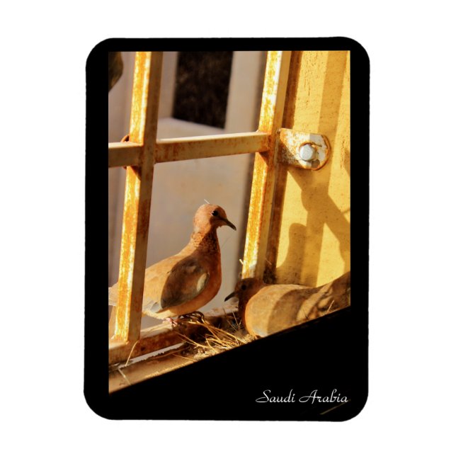 Ímã Arábia Saudita (Vertical)