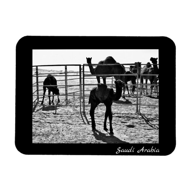 Ímã Arábia Saudita (Horizontal)