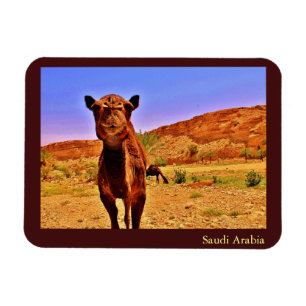 Ímã Arábia Saudita