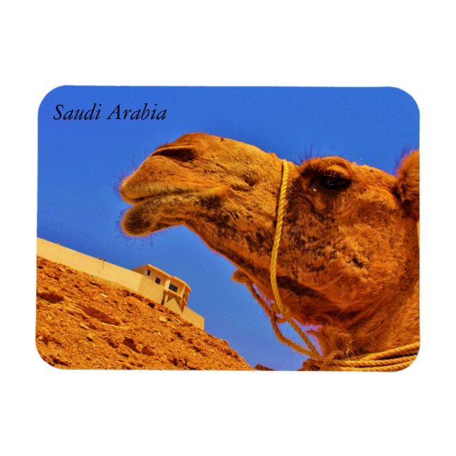 Ímã Arábia Saudita (Horizontal)