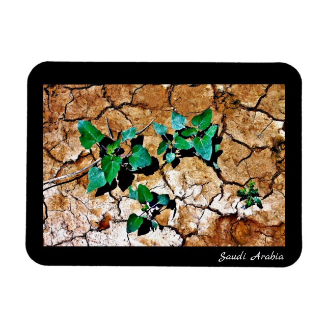 Ímã Arábia Saudita (Horizontal)