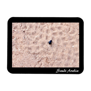 Ímã Arábia Saudita