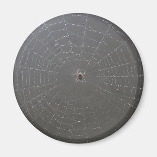 Imã Aranha