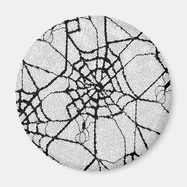 Imã aranha 1 (Frente)