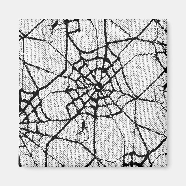 Imã aranha 1 (Frente)