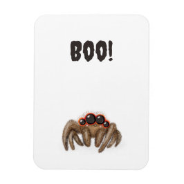 Ímã Aranha assustadora 'Boo!' Íman de Halloween
