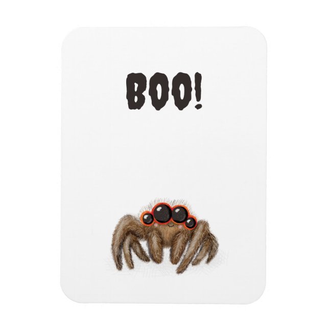 Ímã Aranha assustadora 'Boo!' Íman de Halloween (Vertical)