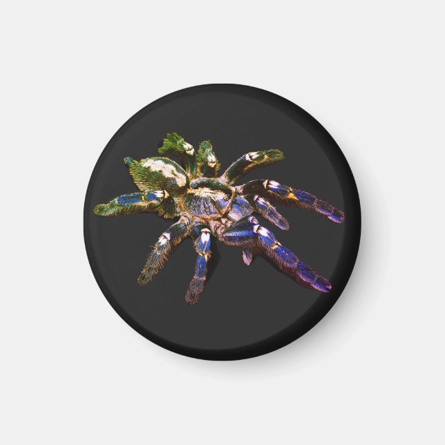 Imã Aranha azul/vermelha/laranja/preta (Frente)