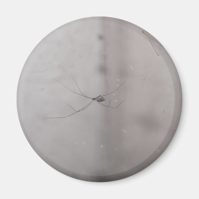 Imã aranha-cega cosmopolita (Frente)