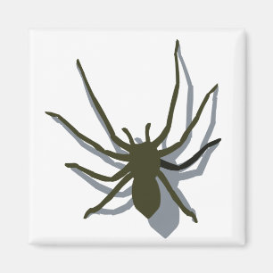Imã Aranha com ímã da sombra