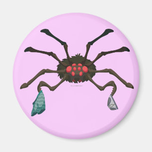 Imã Aranha da lavanderia